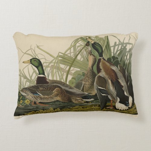 Mallard Duck from Audubons Birds of America Accent Pillow