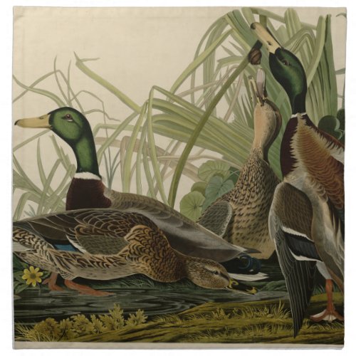 Mallard Duck from Audubons Birds of America Cloth Napkin