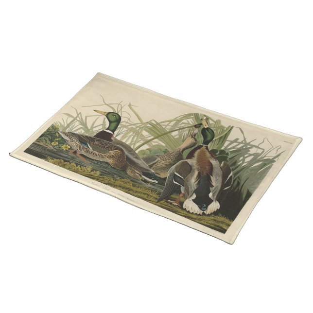 Mallard Duck from Audubon's Birds of America Cloth Placemat (On Table)