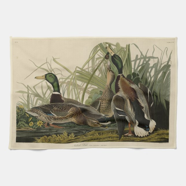 Mallard Duck from Audubon's Birds of America Kitchen Towel (Horizontal)