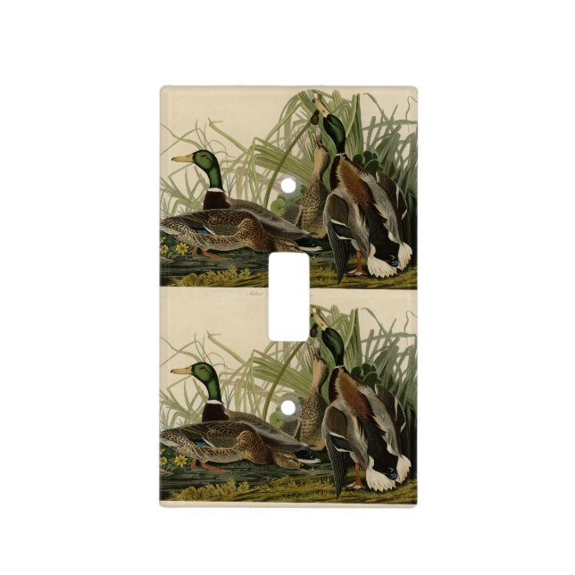 Mallard Duck from Audubon's Birds of America Light Light Switch Cover (Front)