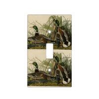 Mallard Duck from Audubon's Birds of America Light