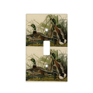 Mallard Duck from Audubon's Birds of America Light Switch Cover