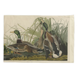 Mallard Duck from Audubon's Birds of America Pillow Case