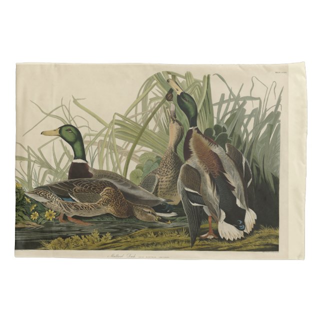 Mallard Duck from Audubon's Birds of America Pillow Case (Back-Left)