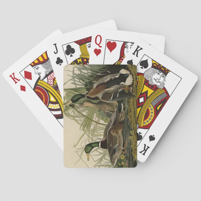 Mallard Duck from Audubon's Birds of America Poker Cards (Back)