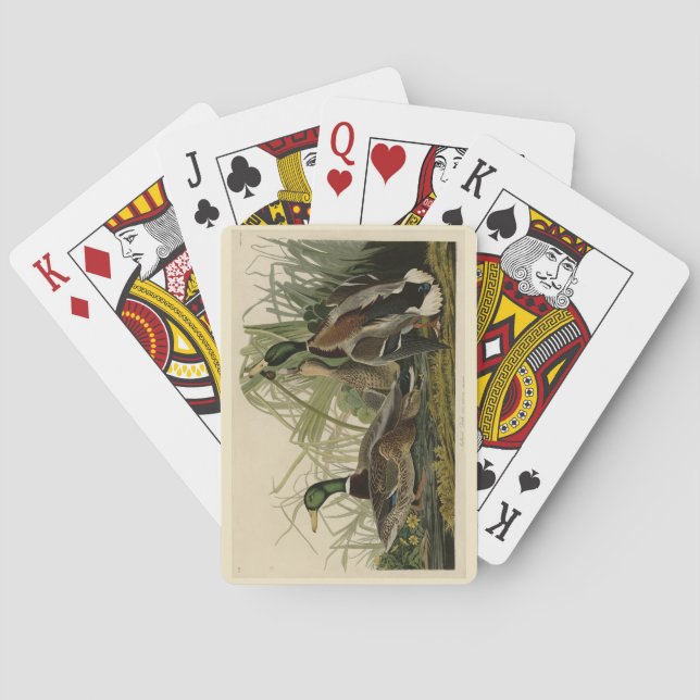Mallard Duck from Audubon's Birds of America Poker Cards (Back)