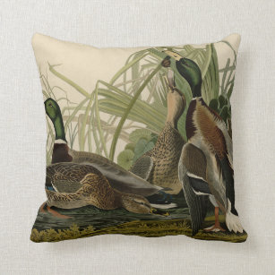 Mallard Duck from Audubon's Birds of America Throw Pillow