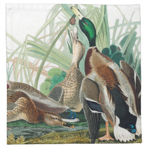 Mallard Duck from Birds of America (Audubon) Cloth Napkin