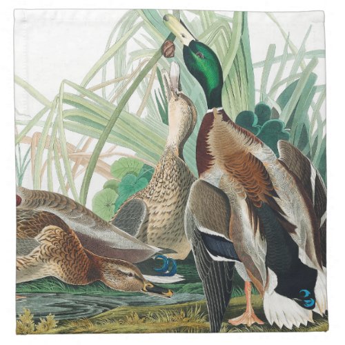 Mallard Duck from Birds of America Audubon Cloth Napkin