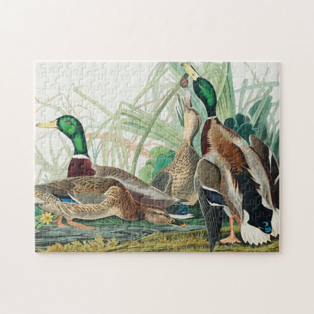 Mallard Duck from Birds of America (Audubon) Jigsaw Puzzle (Horizontal)