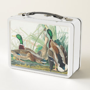 Mallard Duck from Birds of America (Audubon) Metal Lunch Box