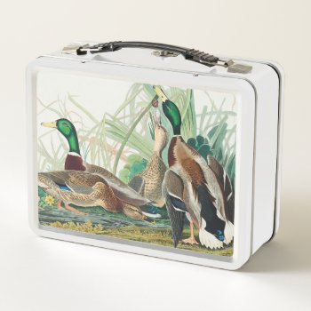 Mallard Duck From Birds Of America (audubon) Metal Lunch Box by colorfulworld at Zazzle