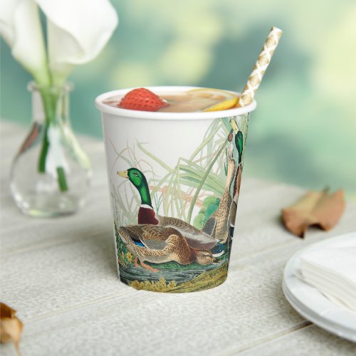 Mallard Duck from Birds of America Audubon  Paper Cups