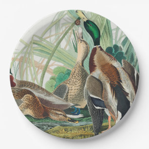 Mallard Duck from Birds of America (Audubon) Paper Plates