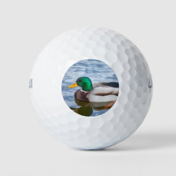 Mallard Duck Golf Balls by PixLifeBirds at Zazzle