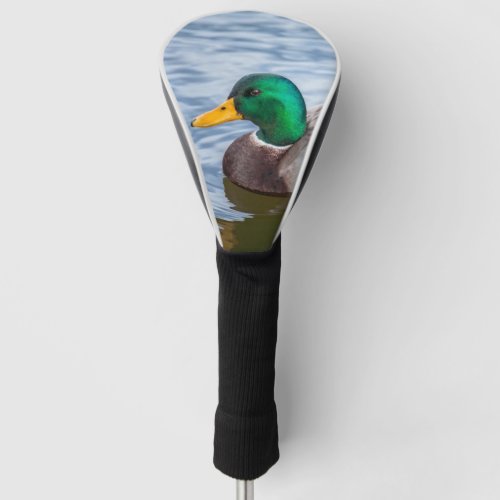 Mallard Duck Golf Head Cover