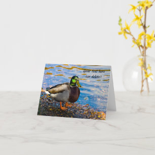 Mallard Duck Greeting card