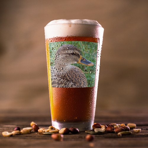 Mallard Duck Hen Glass