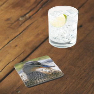 Mallard Duck Hen Nature Photo Beverage Coaster