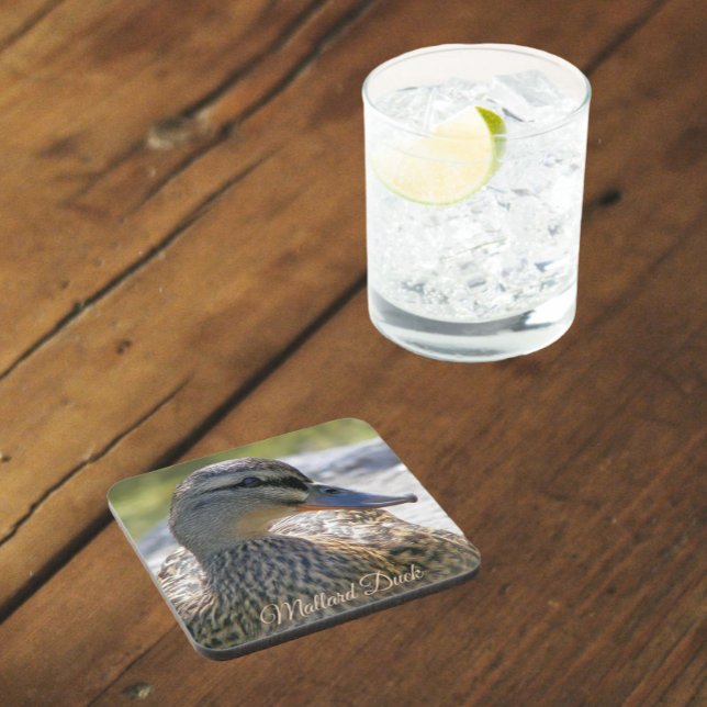 Mallard Duck Hen Nature Photo Beverage Coaster (In Situ Glass)