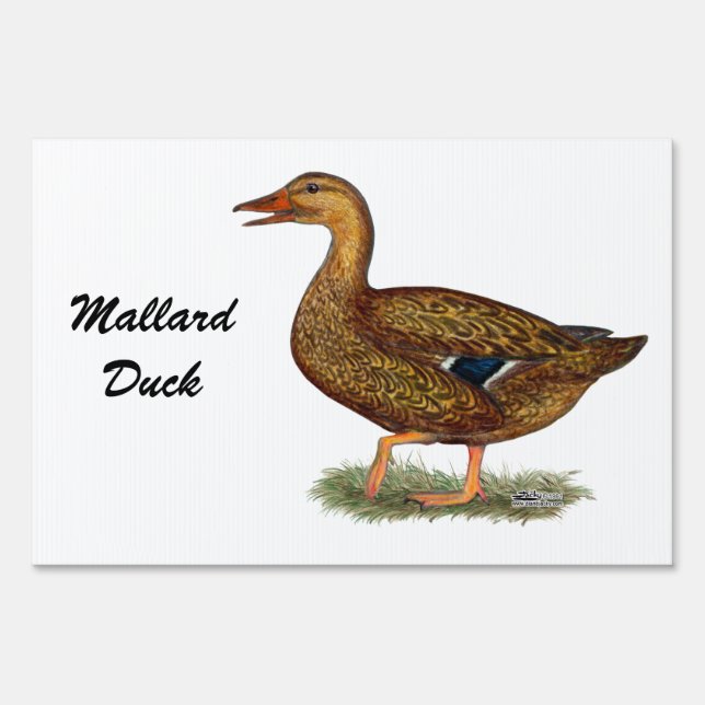 Mallard Duck Hen Sign (Front)