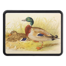 Mallard Duck Hitch Cover