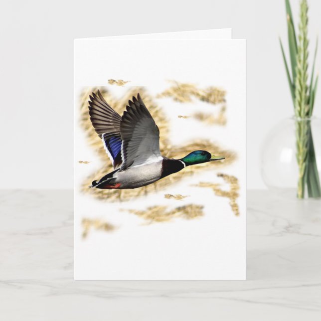 Mallard Duck Hunting Card (Front)