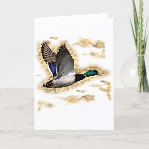 Mallard Duck Hunting Card