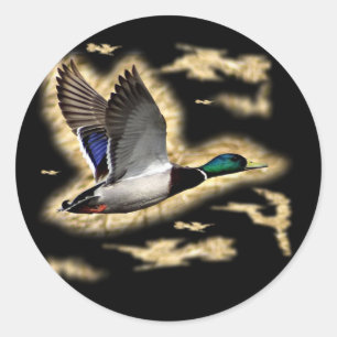 Mallard Duck Hunting Classic Round Sticker