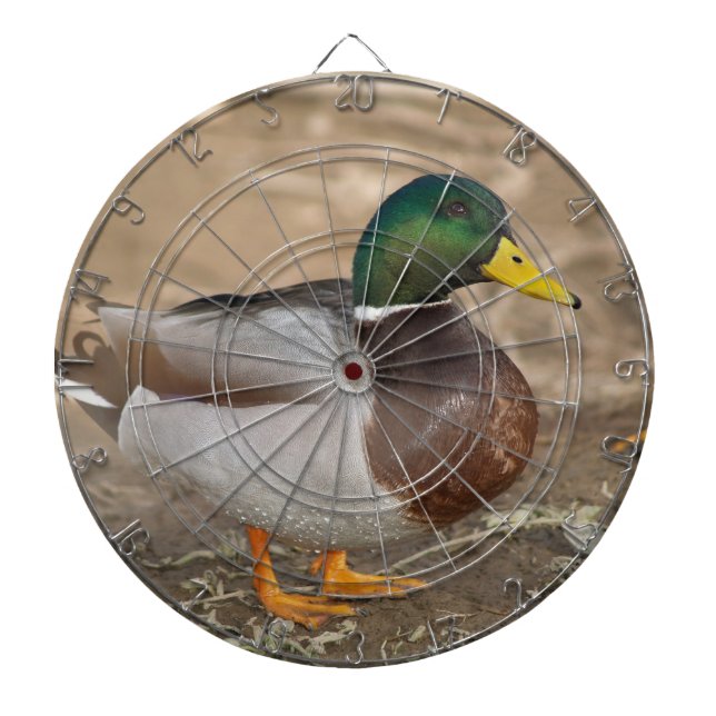 Mallard Duck Hunting Dart Board (Front)