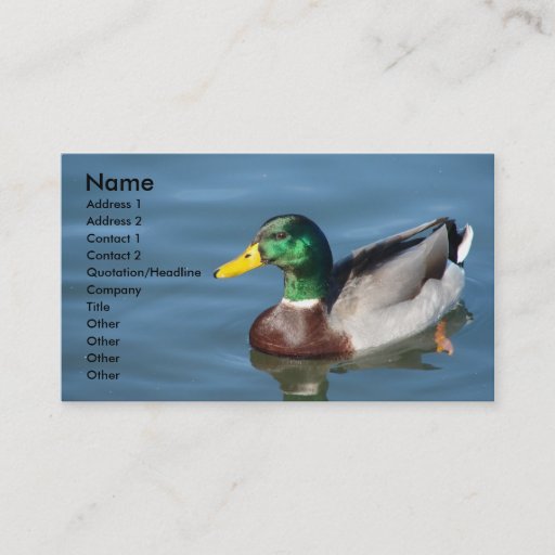 Customizable Mallard Duck In Blue Water Business Card Template