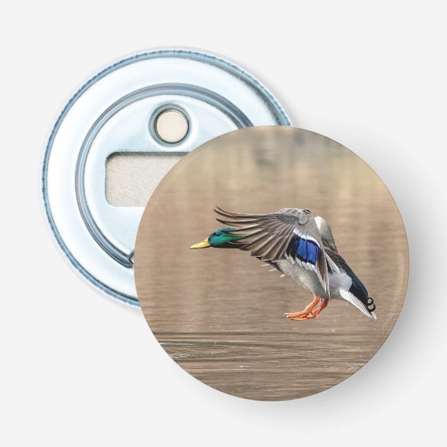 Mallard Duck in flight Bottle Opener (Front)