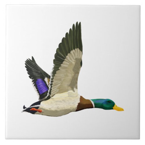 Mallard duck in flight ceramic tile