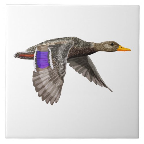 Mallard duck in flight ceramic tile