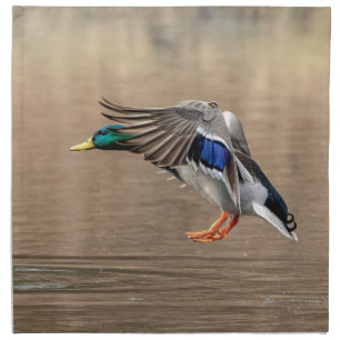 Mallard Duck in flight Cloth Napkin