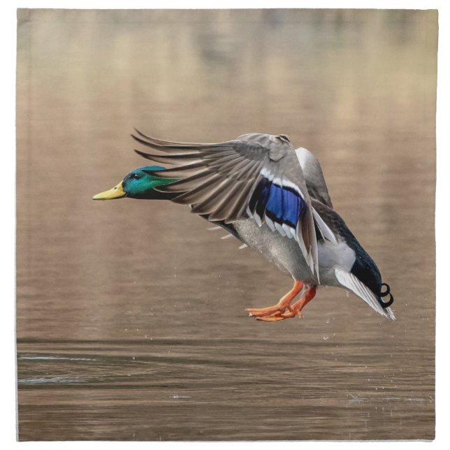 Mallard Duck in flight Cloth Napkin (Front)
