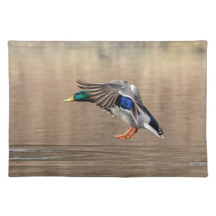 Mallard Duck in flight Cloth Placemat