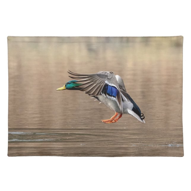 Mallard Duck in flight Cloth Placemat (Front)