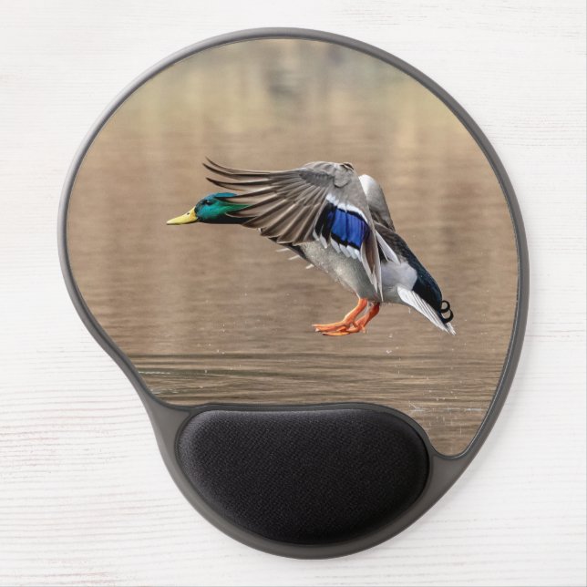 Mallard Duck in flight Gel Mouse Pad (Front)