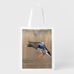 Mallard Duck in flight Grocery Bag
