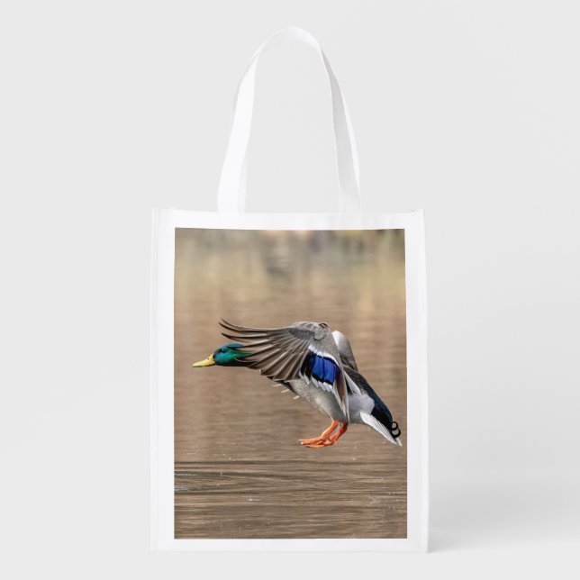 Mallard Duck in flight Grocery Bag (Front)
