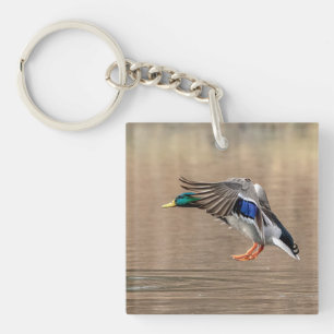 Mallard Duck in flight Keychain