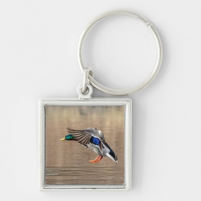 Mallard Duck in flight Keychain (Front)