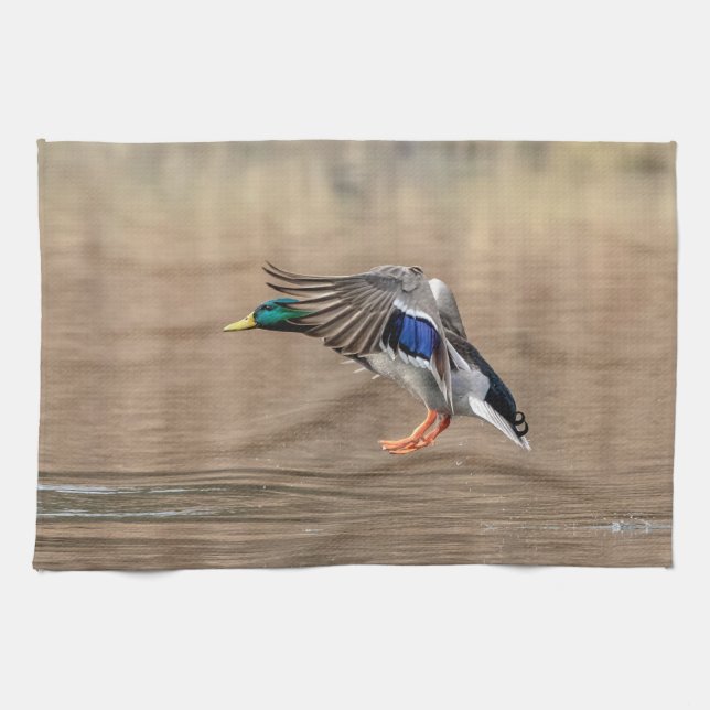 Mallard Duck in flight Kitchen Towel (Horizontal)