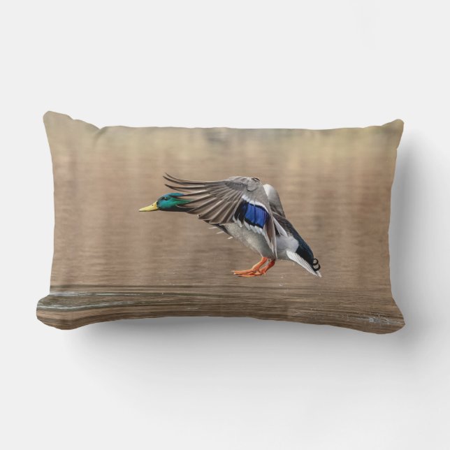 Mallard Duck in flight Lumbar Pillow (Front)