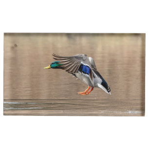 Mallard Duck in flight Place Card Holder
