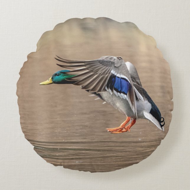 Mallard Duck in flight Round Pillow (Front)