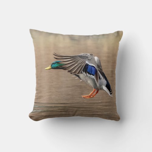 Mallard Duck in flight Throw Pillow