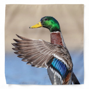 Mallard Duck in the Hudson Valley Bandana